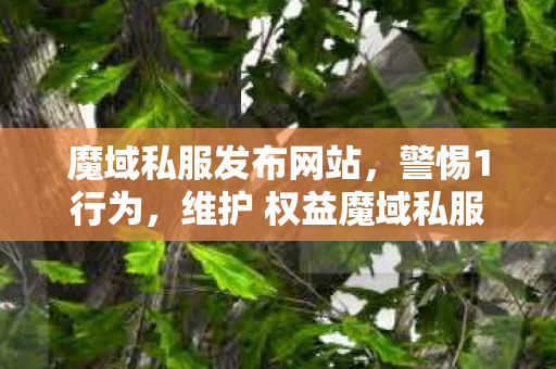 魔域私服发布网站，警惕1行为，维护 权益魔域私服