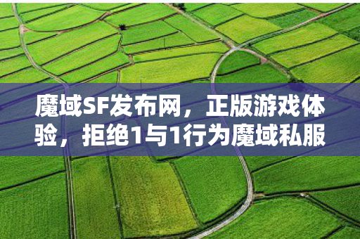 魔域SF发布网，正版游戏体验，拒绝1与1行为魔域私服哪个好