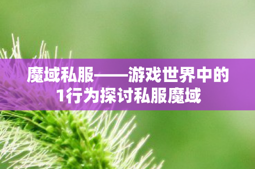 魔域私服——游戏世界中的1行为探讨私服魔域