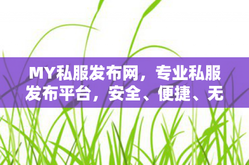 MY私服发布网，专业私服发布平台，安全、便捷、无违规MY私服