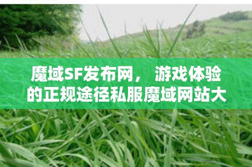 魔域SF发布网， 游戏体验的正规途径私服魔域网站大全