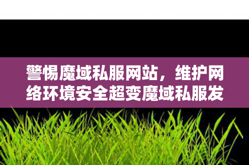 警惕魔域私服网站，维护网络环境安全超变魔域私服发布网