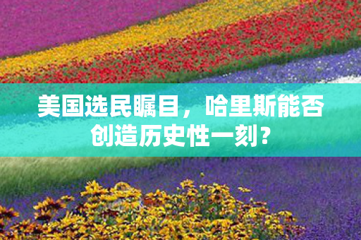 美国选民瞩目，哈里斯能否创造历史性一刻？