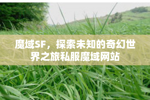魔域SF，探索未知的奇幻世界之旅私服魔域网站