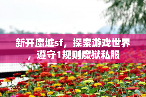 新开魔域sf，探索游戏世界，遵守1规则魔狱私服