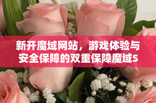 新开魔域网站，游戏体验与安全保障的双重保障魔域SF