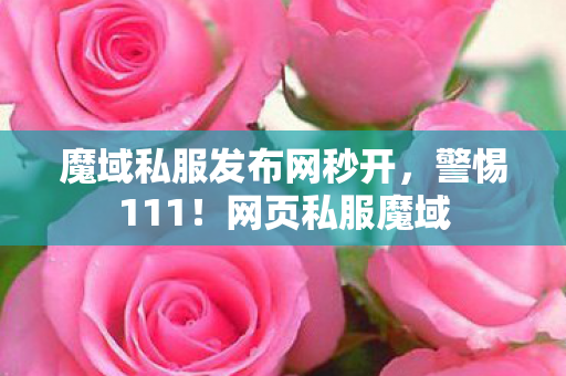 魔域私服发布网秒开，警惕111！网页私服魔域