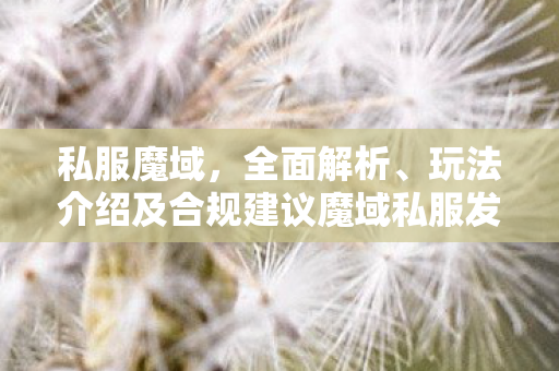 私服魔域，全面解析、玩法介绍及合规建议魔域私服发布网刚刚开一秒