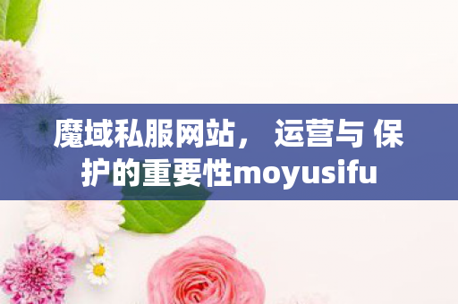 魔域私服网站， 运营与 保护的重要性moyusifu