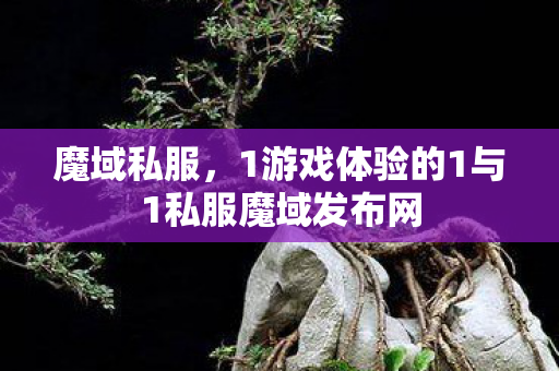 魔域私服，1游戏体验的1与1私服魔域发布网