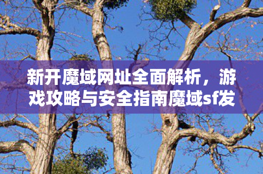 新开魔域网址全面解析，游戏攻略与安全指南魔域sf发布站