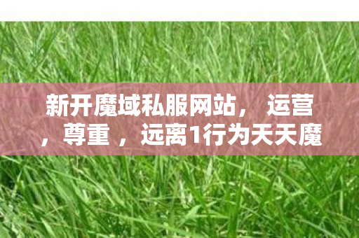 新开魔域私服网站， 运营，尊重 ，远离1行为天天魔域私服官网