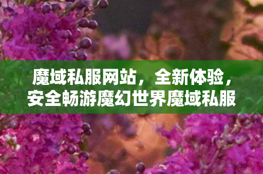魔域私服网站，全新体验，安全畅游魔幻世界魔域私服发布网站