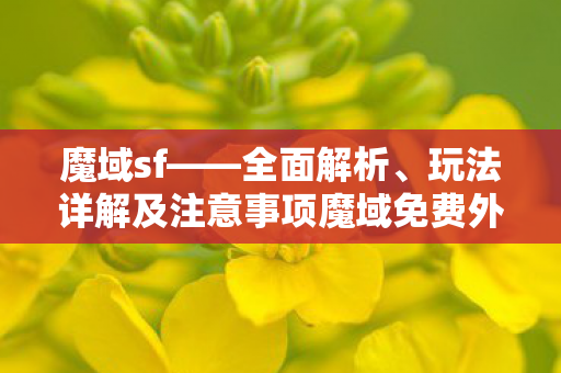 魔域sf——全面解析、玩法详解及注意事项魔域免费外挂