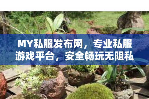 MY私服发布网，专业私服游戏平台，安全畅玩无阻私服魔域发布网刚开一秒