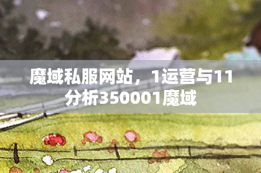 魔域私服网站，1运营与11分析350001魔域