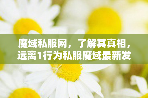 魔域私服网，了解其真相，远离1行为私服魔域最新发布网