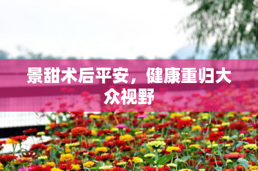 景甜术后平安，健康重归大众视野