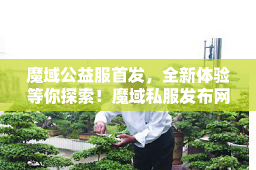 魔域公益服首发，全新体验等你探索！魔域私服发布网刚刚开一秒