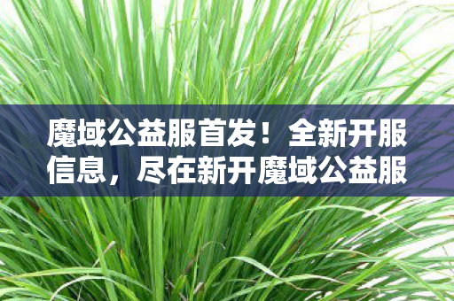 魔域公益服首发！全新开服信息，尽在新开魔域公益服发布网魔域sf网站