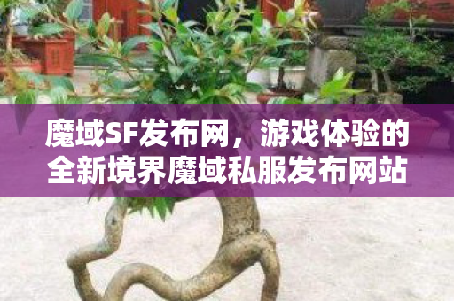魔域SF发布网，游戏体验的全新境界魔域私服发布网站