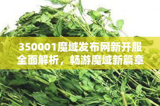350001魔域发布网新开服全面解析，畅游魔域新篇章魔狱私服