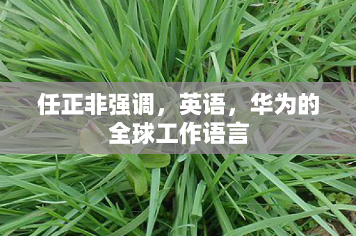 任正非强调，英语，华为的全球工作语言