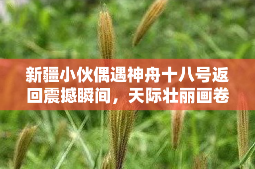 新疆小伙偶遇神舟十八号返回震撼瞬间，天际壮丽画卷揭秘