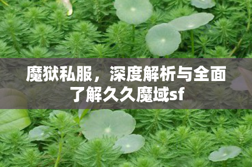 魔狱私服，深度解析与全面了解久久魔域sf
