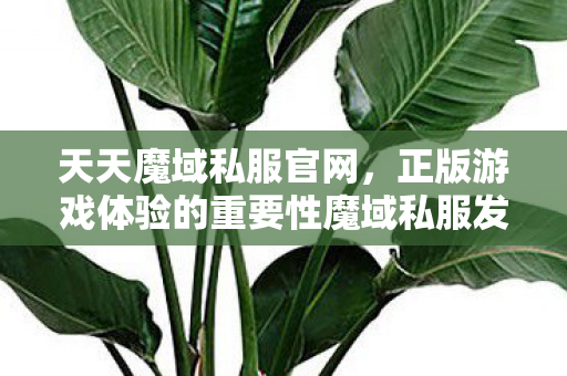 天天魔域私服官网，正版游戏体验的重要性魔域私服发布