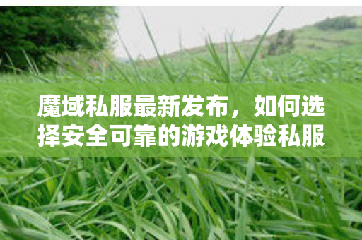 魔域私服最新发布，如何选择安全可靠的游戏体验私服魔域刚开一秒