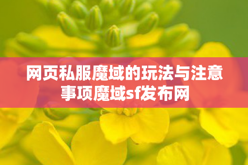 网页私服魔域的玩法与注意事项魔域sf发布网