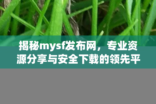 揭秘mysf发布网，专业资源分享与安全下载的领先平台魔狱私服