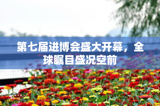第七届进博会盛大开幕，全球瞩目盛况空前