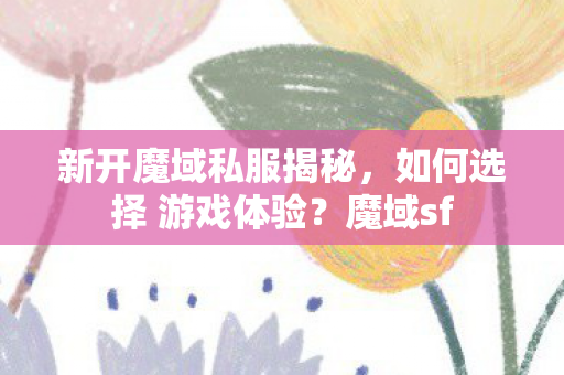 新开魔域私服揭秘，如何选择 游戏体验？魔域sf