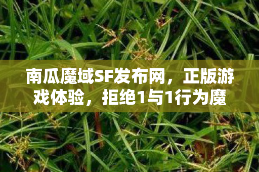 南瓜魔域SF发布网，正版游戏体验，拒绝1与1行为魔域私服登陆器