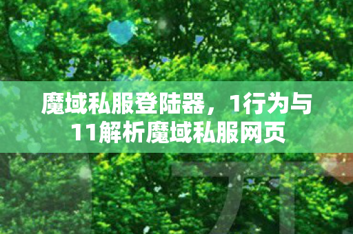 魔域私服登陆器，1行为与11解析魔域私服网页