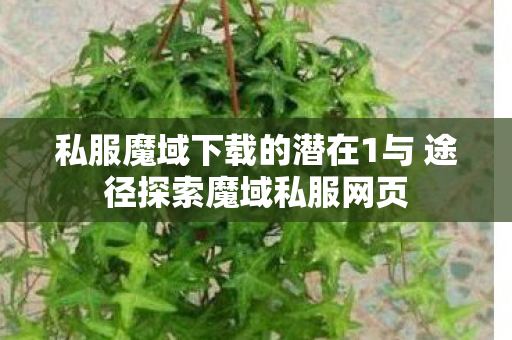 私服魔域下载的潜在1与 途径探索魔域私服网页