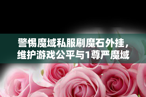 警惕魔域私服刷魔石外挂，维护游戏公平与1尊严魔域私服发布网站