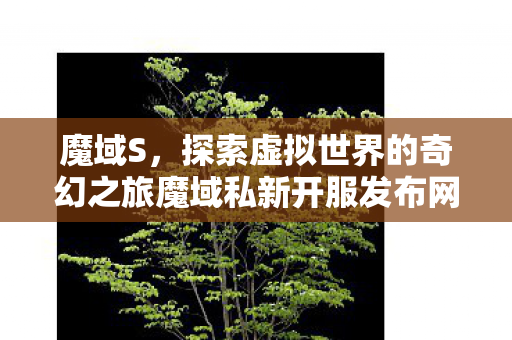 魔域S，探索虚拟世界的奇幻之旅魔域私新开服发布网魔域私服