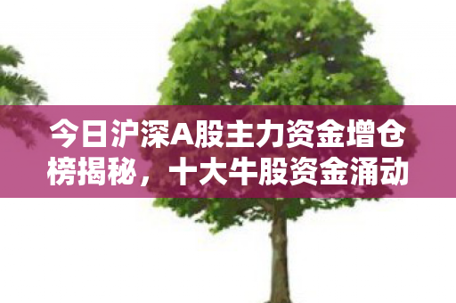 今日沪深A股主力资金增仓榜揭秘，十大牛股资金涌动解析