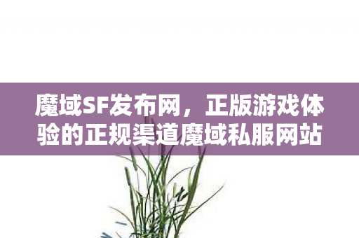 魔域SF发布网，正版游戏体验的正规渠道魔域私服网站