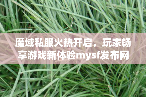 魔域私服火热开启，玩家畅享游戏新体验mysf发布网