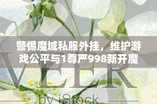 警惕魔域私服外挂，维护游戏公平与1尊严998新开魔域私服