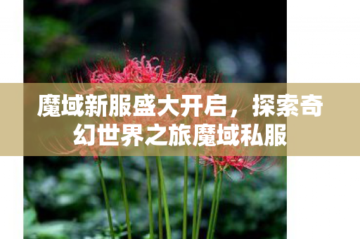 魔域新服盛大开启，探索奇幻世界之旅魔域私服
