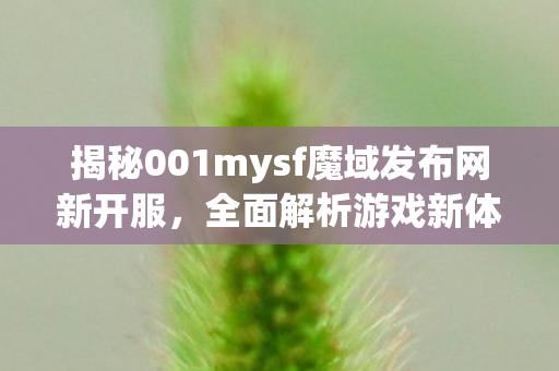 揭秘001mysf魔域发布网新开服，全面解析游戏新体验MY私服发布网