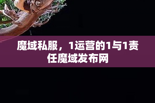 魔域私服，1运营的1与1责任魔域发布网