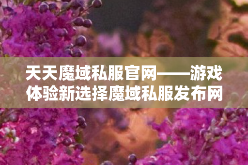 天天魔域私服官网——游戏体验新选择魔域私服发布网
