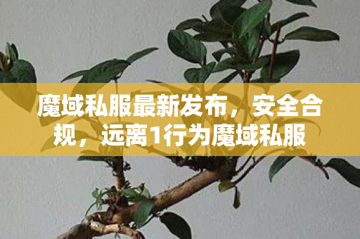 魔域私服最新发布，安全合规，远离1行为魔域私服