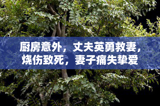厨房意外，丈夫英勇救妻，烧伤致死，妻子痛失挚爱